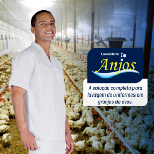 Leia mais sobre o artigo Lavanderia Anjos: a solução completa para lavagem de uniformes em granjas de ovos